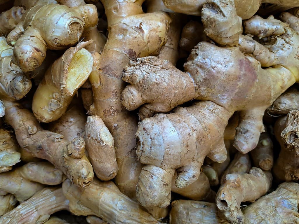 Fresh ginger root and ingredients arranged for a digestive-friendly recipe.