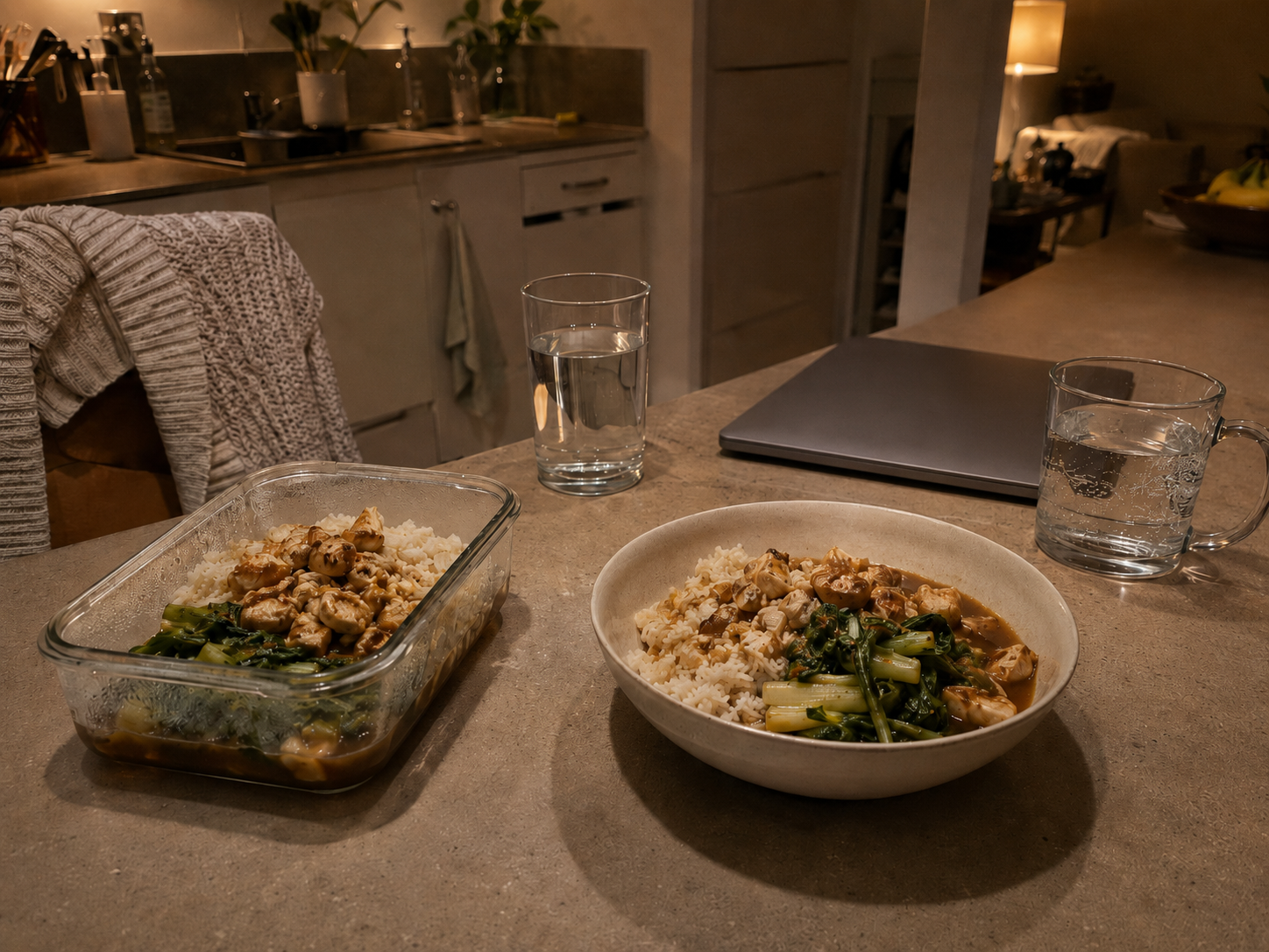 Two similar chicken and rice meals shown in different settings to suggest how context can change the experience.